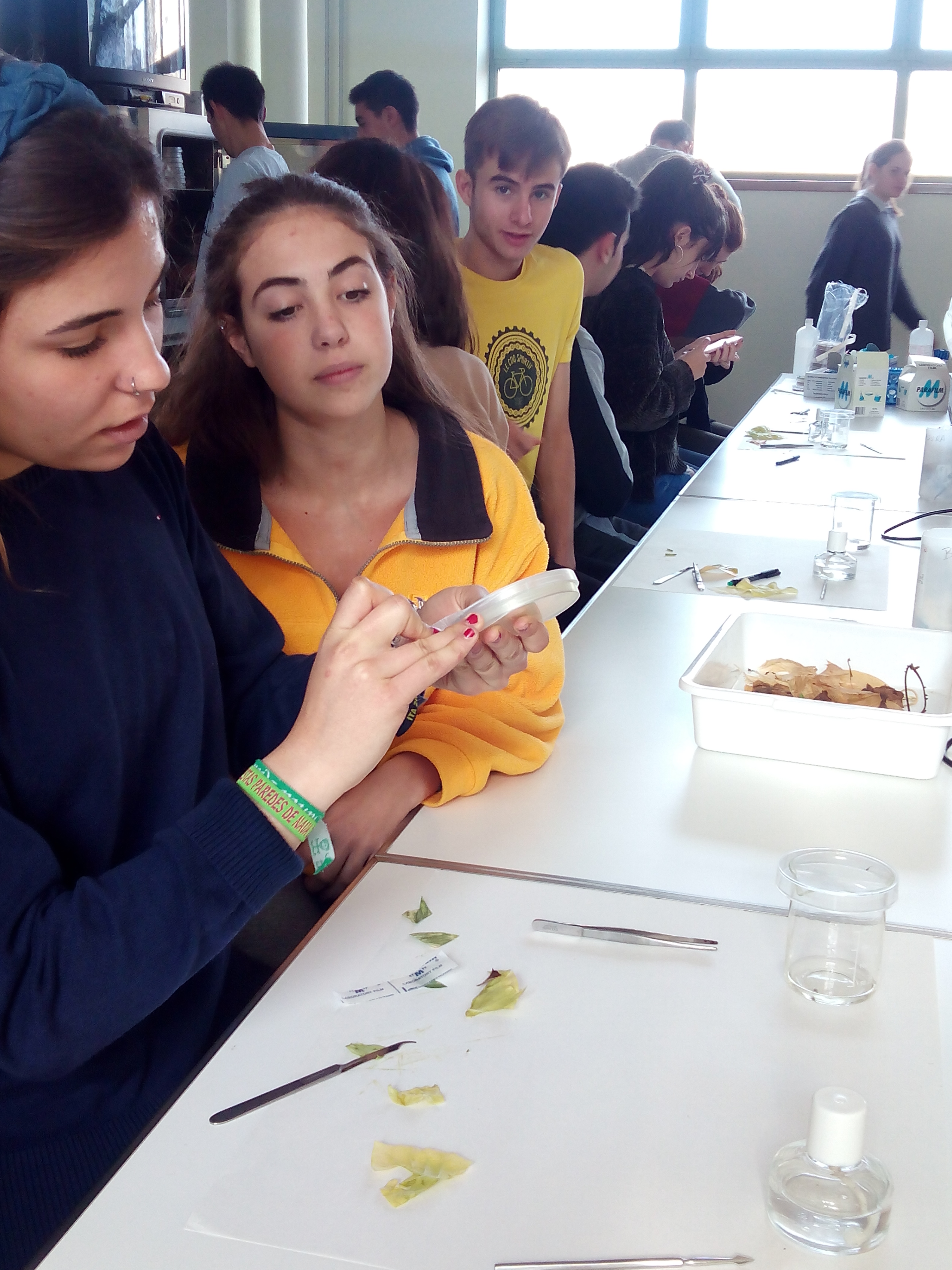 Act. Biología 2